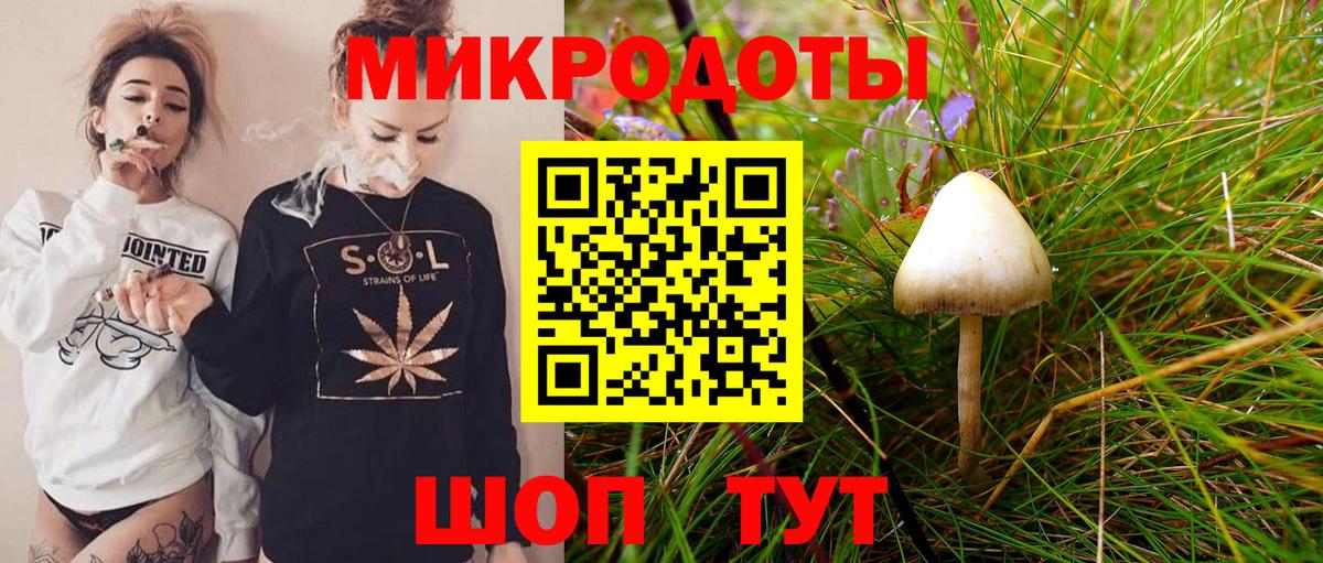 Галлюциногенные грибы MAGIC MUSHROOMS  Вход с VPN  Псилоцибиновые грибы мухоморы  Якутск 