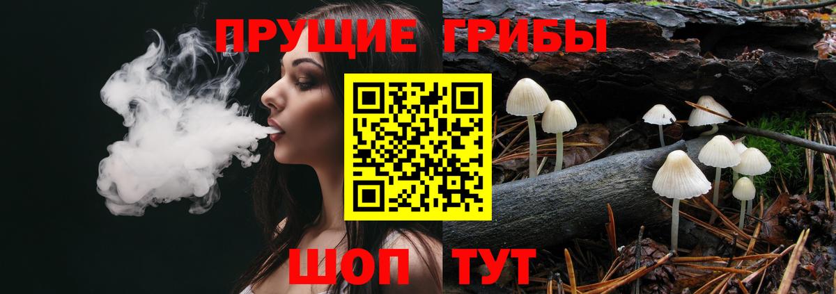 Псилоцибиновые грибы мицелий Якутск